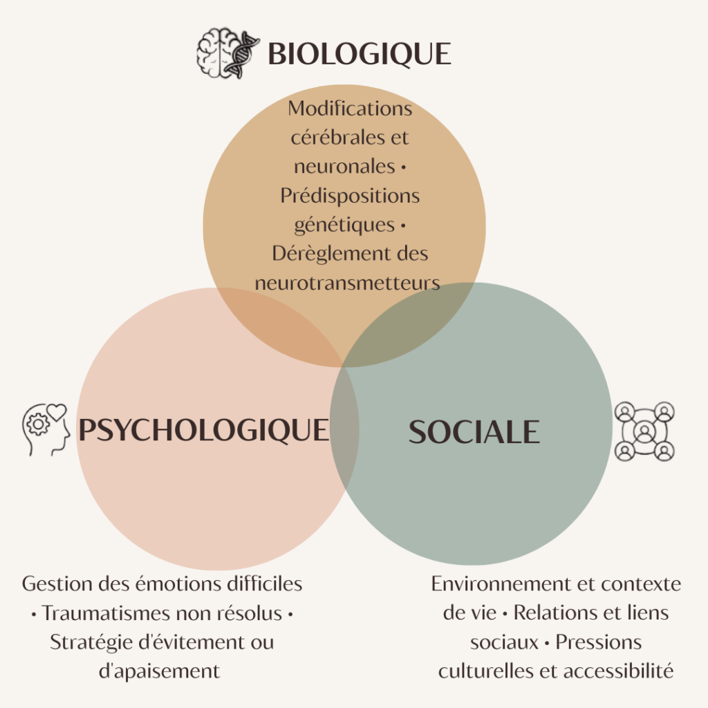 Schéma explicatif du modèle biopsychosocial de l'addiction par un psychothérapeute à Montpellier. Le diagramme présente les facteurs biologiques, psychologiques et sociaux liés aux dépendances.